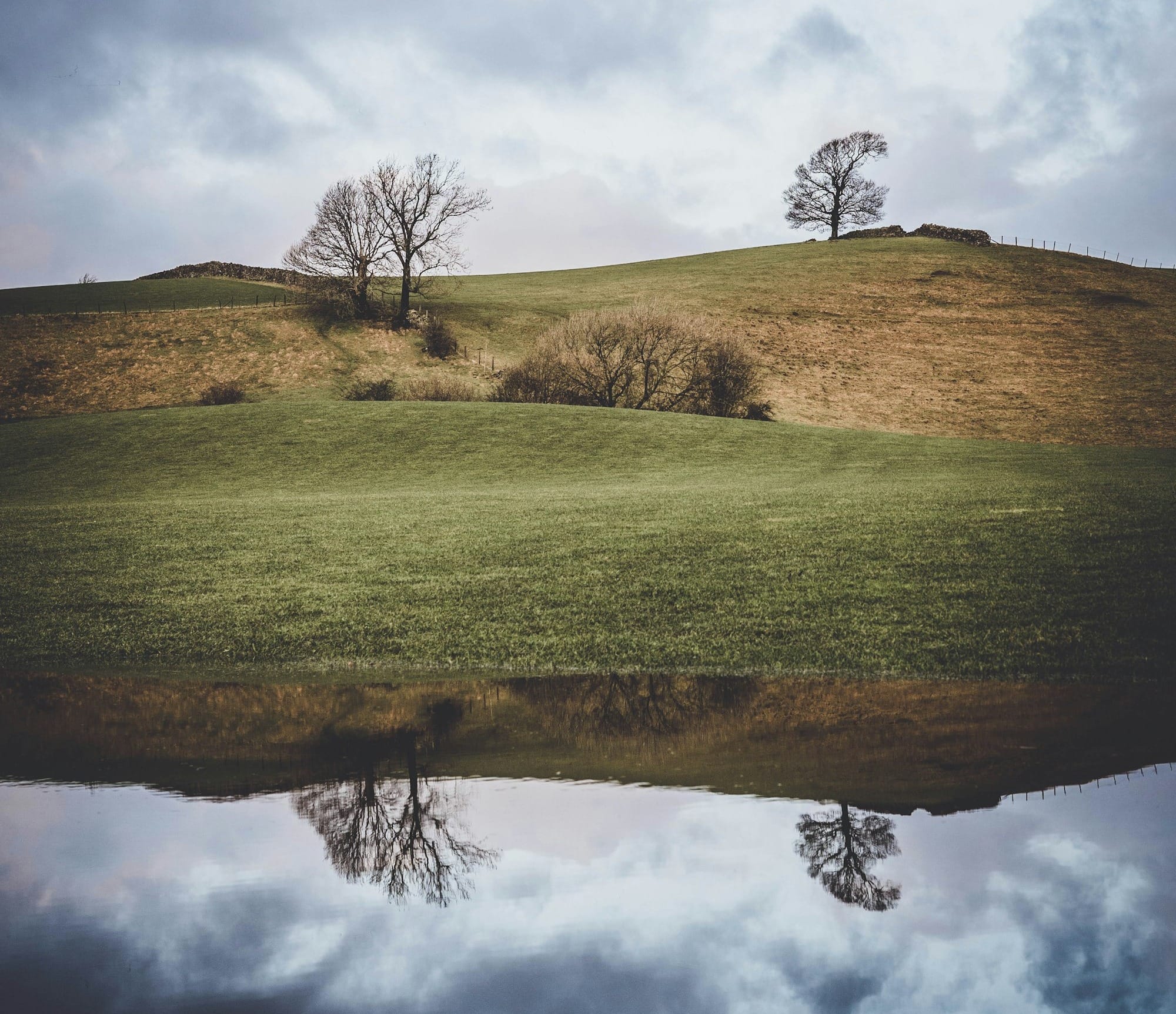 green grass field under cloudy sky during daytime